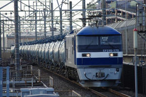 IMGP9924.JPG