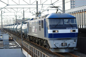 IMGP9931.JPG