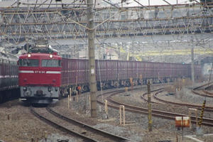 IMGP0406.JPG