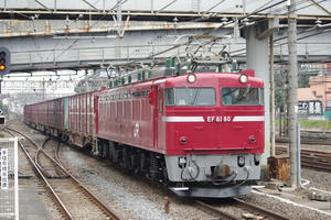 IMGP0415.JPG