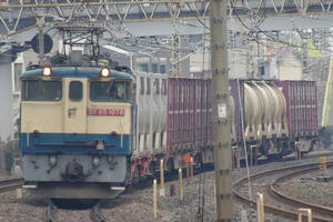 IMGP0419.JPG