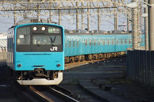 IMGP0713.JPG