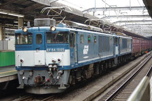 IMGP0899.JPG