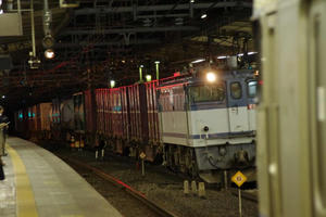 IMGP1218.JPG