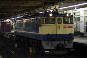 IMGP1231.JPG