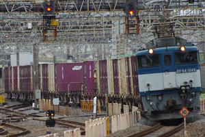 IMGP1250.JPG
