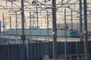 IMGP1590.JPG