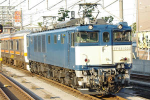 IMGP3019.JPG
