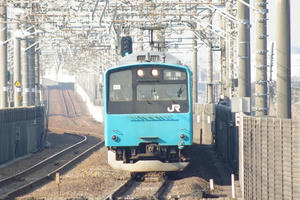 IMGP3103.JPG