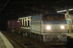 IMGP3574.JPG