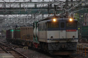 IMGP4206.JPG