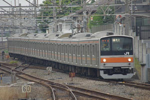 IMGP4307.JPG
