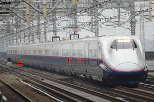 IMGP4936.JPG
