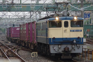 IMGP5004.JPG