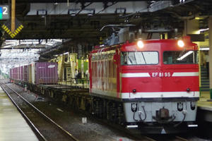 IMGP5986.JPG