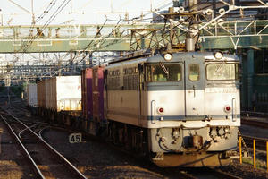 IMGP6424.JPG