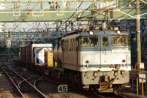 IMGP6561.JPG