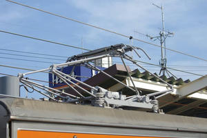 IMGP6677.JPG