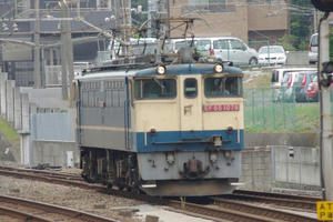 IMGP6763.JPG