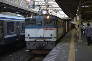 IMGP7066.JPG