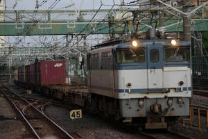 IMGP7244.JPG