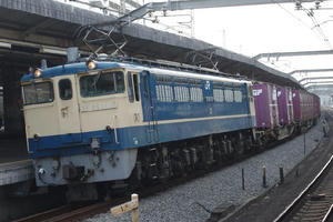 IMGP7532.JPG