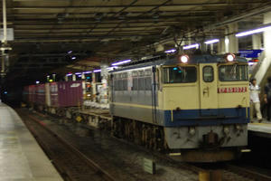 IMGP7665.JPG