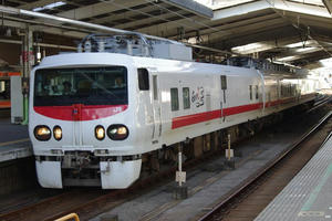 IMGP7694.JPG