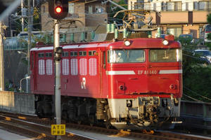 IMGP8164.JPG