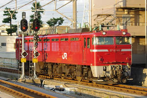 IMGP8170.JPG