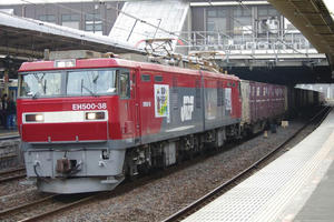 IMGP8585.JPG