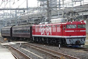 IMGP8744.JPG