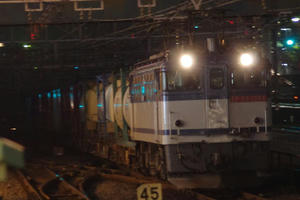 IMGP9146.JPG