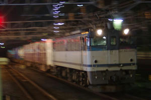 IMGP9925.JPG