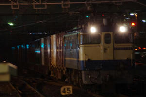 IMGP0215.JPG