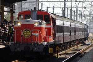 IMGP0629.JPG