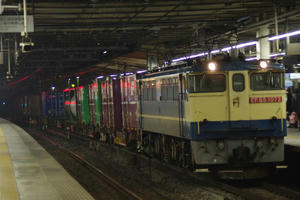 IMGP0800.JPG