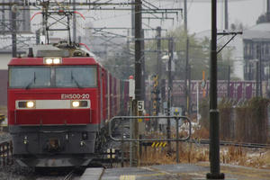 IMGP1176.JPG