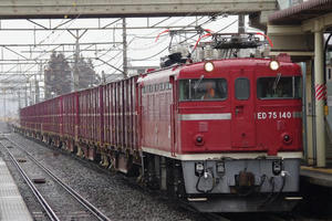 IMGP1194.JPG