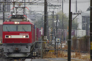 IMGP1201.JPG