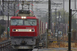 IMGP1234.JPG