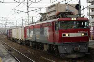 IMGP1315.JPG
