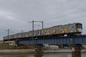 IMGP1372.JPG
