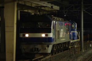 IMGP1379.JPG