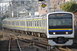 IMGP4614.JPG
