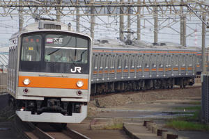IMGP0649.JPG