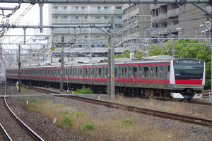 IMGP0811.JPG