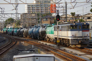 IMGP1298.JPG