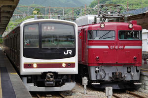 IMGP2444.JPG