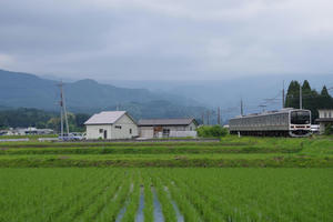 IMGP2483.JPG
